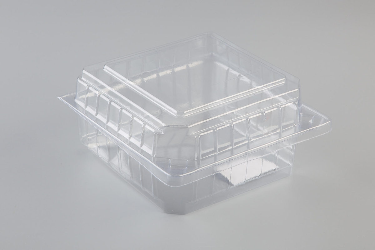 Clear Sandwich Wedge / Containers