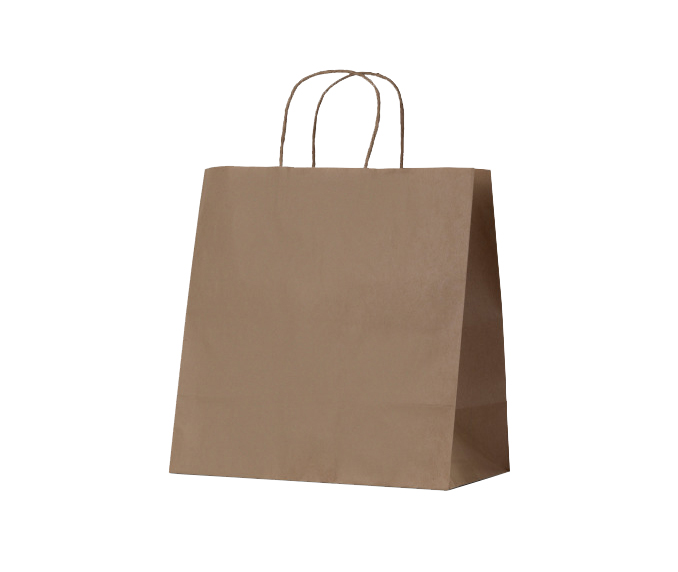 Takeaway Brown Kraft Paper Bags